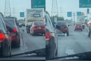Nos quiere ver la cara!!! Ahora resulta que due&ntilde;a no abandon&oacute; a perrito en la calle