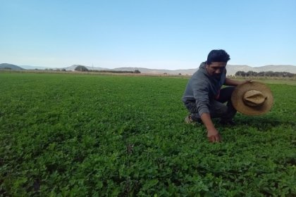 Impulsa Altosano Granjas Carroll la reconversi&oacute;n agr&iacute;cola en Puebla y Veracruz