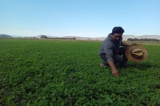 Impulsa Altosano Granjas Carroll la reconversi&oacute;n agr&iacute;cola en Puebla y Veracruz