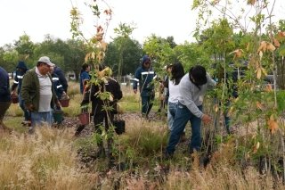 Agua de Puebla sembrar&aacute; 3,500 &aacute;rboles, para la recarga de mantos acu&iacute;feros; inici&oacute; su Campa&ntilde;a de Reforestaci&oacute;n 2026 &ldquo;Arbolitros&rdquo;