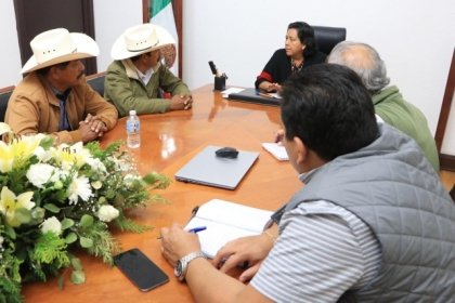 Gobierno de Alejandro Armenta impulsa a apicultores y promueve protecci&oacute;n de las abejas