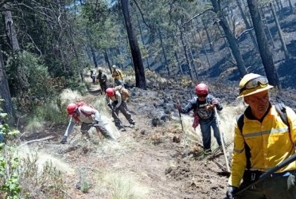 Con una efectividad del 100 por ciento, Gobierno de Puebla atiende incendios