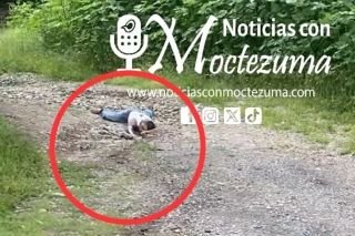 Encuentran cuerpo de mujer flotando en Puente Negro Chietla