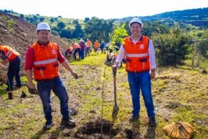 Gobierno de la Ciudad realiza acciones de producci&oacute;n de composta para reforestaci&oacute;n en Puebla