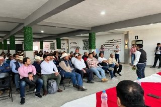 En hist&oacute;rica alianza, SEDIF suma a productores de frijol en beneficio de zonas de alta marginaci&oacute;n