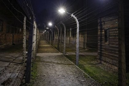 Descubren campo de exterminio nazi en Austria; hab&iacute;a a&uacute;n restos humanos