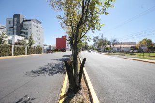 Gobierno de Puebla transforma movilidad con rehabilitaci&oacute;n vial en tiempo r&eacute;cord