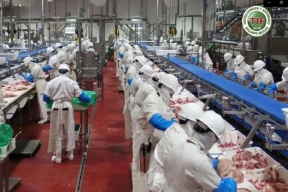 Planta Procesadora de Carne de Cerdo de Granjas Carroll cumple 6 a&ntilde;os con altos est&aacute;ndares de calidad