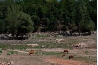 &iquest;Qu&eacute; es el &ldquo;vero&ntilde;o&rdquo; que se vive en Europa y por qu&eacute; sucede?