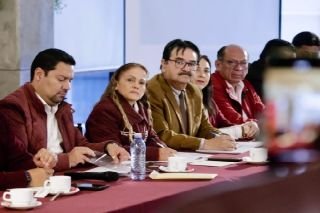 En Morena condenamos acciones en contra de los principios de Morena:  Olga Romero