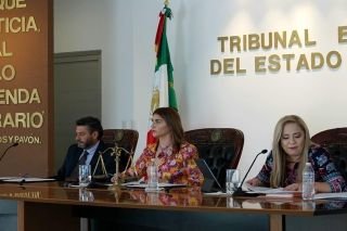 TEEP resolvi&oacute; una apelaci&oacute;n y siete Juicios para la Protecci&oacute;n de los Derechos Pol&iacute;tico-Electorales de la Ciudadan&iacute;a.&nbsp;