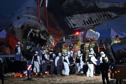 Avionazo en Corea del Sur deja 179 muertos; aerol&iacute;nea pide disculpas