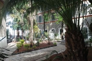 SEDIF anuncia "Jornadas Ciudadanas Por Amor A Las Familias"