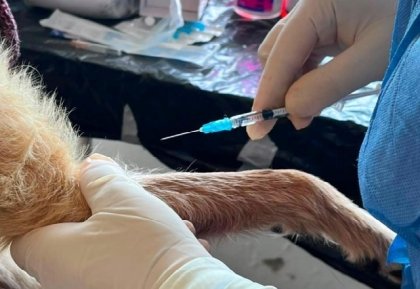 La salud animal llega hasta las comunidades m&aacute;s alejadas de Xiutetelco