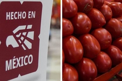 Arancel de 21% al jitomate mexicano: experta advierte riesgo comercial