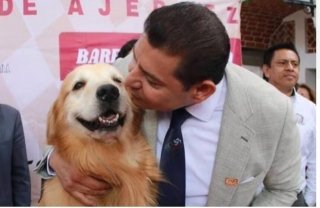 El adi&oacute;s de un fiel escudero: Armenta interrumpe agenda por la salud de "Tommy"