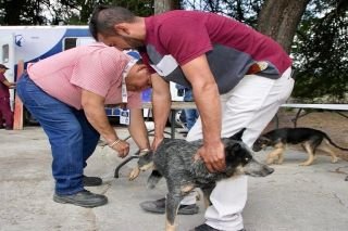 SMDIF Puebla acerca atenci&oacute;n y servicios a la inspector&iacute;a de Rosario la Huerta