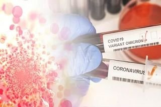 Omicr&oacute;n &iquest;el fin de la pandemia COVID-19?