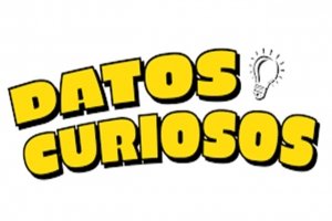 Datos curiosos al azar que te fascinar&aacute;n