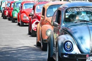Conmemoran en Toluca el D&iacute;a Mundial del Vocho con caravana y exposici&oacute;n de autos cl&aacute;sicos