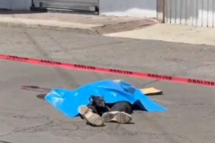 Tragedia en San Manuel: Ruta 10 mata a abuelito de 84 a&ntilde;os y el chofer huye