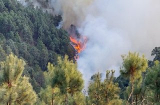 Gobernador Armenta sobrevuela incendio en Sierra Negra Poblana; Est&aacute; controlado en 70%
