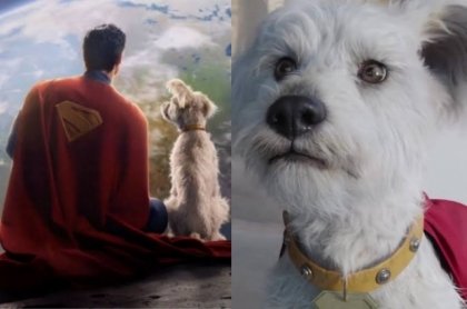 Efecto Krypto! Incrementa la adopci&oacute;n de perros tras estreno de Superman