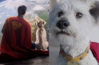 Efecto Krypto! Incrementa la adopci&oacute;n de perros tras estreno de Superman