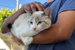 Gobierno de la Ciudad celebra el Día de la Esterilización Animal con exitosa campaña en la Unidad Antorchista