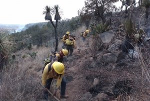 Contin&uacute;a gobierno estatal trabajos de combate de incendios forestales
