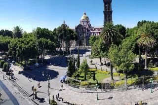 Ante presencia de una plaga Ayuntamiento de Puebla contin&uacute;a con la verificaci&oacute;n y an&aacute;lisis del arbolado en el municipio