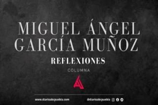 TOCINO Y BR&Oacute;COLI