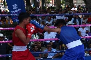 Se coronan 49 campeones en la gran final del Torneo de Barrios de Box 2023