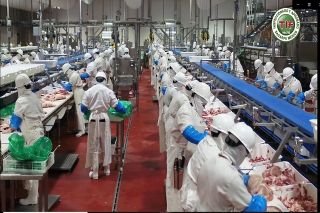 Planta Procesadora de Carne de Cerdo de Granjas Carroll cumple 4 a&ntilde;os