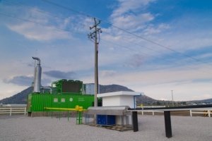 Granjas Carroll innova en la generaci&oacute;n de energ&iacute;a a partir de biog&aacute;s y gas natural