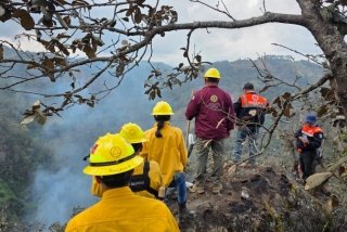 Ante el incremento de incendios en 2026, Gobierno Estatal intensifica acciones de combate