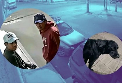 Roban Chevy en la Pur&iacute;sima, Tehuac&aacute;n d&oacute;nde tambi&eacute;n se encontraba un perro labrador