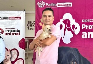 Prioriza Gobierno de la Ciudad acciones en favor del bienestar animal