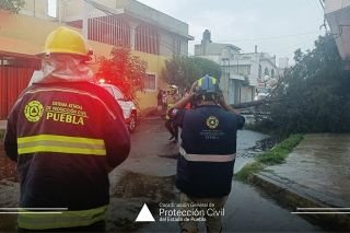 Puebla capital colapsa ante lluvias; cae &aacute;rbol en la 56 poniente&nbsp;