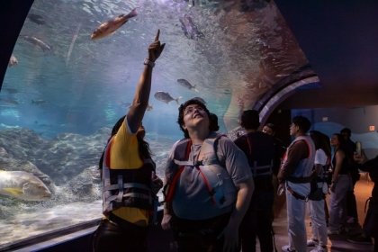 &Uacute;ltima Noche de Museos de 2024, el s&aacute;bado 28 de diciembre