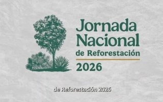Desde Monterrey, Samuel Garc&iacute;a se suma a la Jornada Nacional de Reforestaci&oacute;n 2026 que arranc&oacute; en Puebla