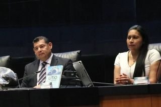 En el Senado se trabaja a favor del pleno desarrollo de la ni&ntilde;ez mexicana: Armenta