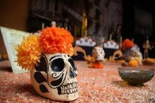 Corredor de Ofrendas municipal arranca este domingo