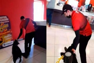 &iexcl;Indignante! Empleado de Cinemex agrede a perrito para sacarlo de las instalaciones