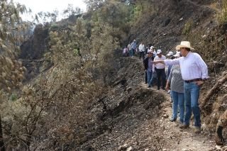 Extinguido incendio forestal en Zacatl&aacute;n