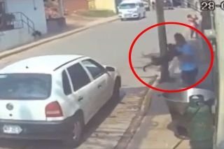Indignante! Hombre lanz&oacute; a un perrito a un cazo con aceite hirviendo