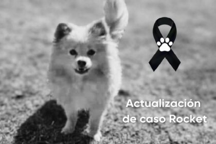 Inicia FGE estudios post mortem a Rocket asesinado y devuelto a su hogar en Didi: Gobierno de Puebla