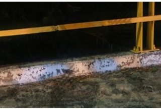 &iexcl;Puente de la muerte en Mayorazgo! otro cad&aacute;ver sacude a Puebla mientras la seguridad de Pepe Chedraui no aparece