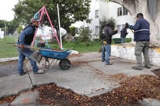 M&aacute;s de 14 millones de metros cuadrados de &aacute;reas verdes recibieron mantenimiento en Puebla capital&nbsp;