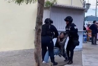Crueldad en Calzada Madero: Polic&iacute;as de Oaxaca "limpian" las calles arrebatando mascotas y sembrando terror